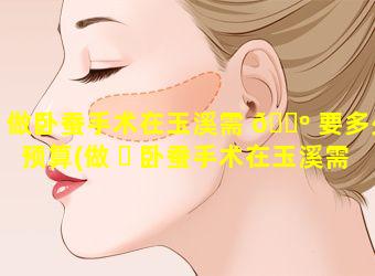 做卧蚕手术在玉溪需 🌺 要多少预算(做 ☘ 卧蚕手术在玉溪需要多少预算费用)